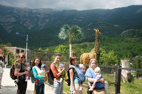 севастопольские мамы , горы пальмы и жираф- Слингомамы
