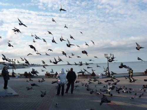 голуби в полете- Ретро фото Севастополя