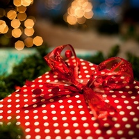 Подарки на новый год и рождество. Что под елочку принес Дед Мороз?