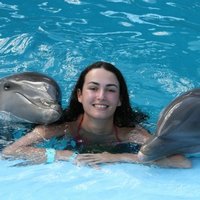 Дельфинотерапия в Крыму, Севастопольский дельфинарий переехал в Ласпи