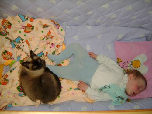 Кошка Лолита охраняет Полиночку- Спят усталые игрушки,книжки спят...