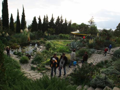 Фотография 2- Никитский Ботанический сад