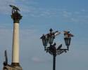 фонарные голуби Ретро фото Севастополя