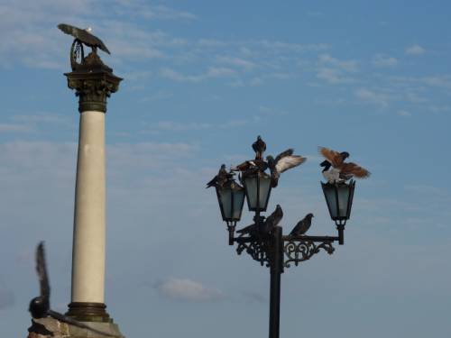 фонарные голуби- Ретро фото Севастополя