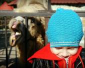 15 Ялтинский зоопарк и Поляна Сказок