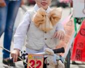 Пятый Севастопольский Парад колясок-012 Пятый Севастопольский Парад колясок (фото)