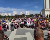 Севастопольский парад колясок 2019-152438 Севастопольский парад колясок 2019