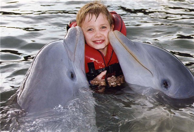 Мальчик с дельфинами